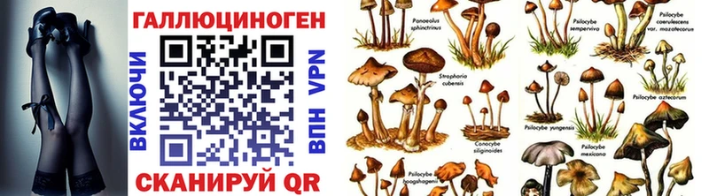 Галлюциногенные грибы мицелий  сайты даркнета телеграм  Красавино 