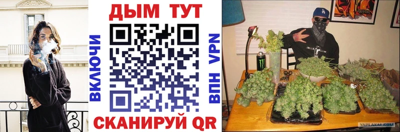 закладки Красавино Канабис марихуана